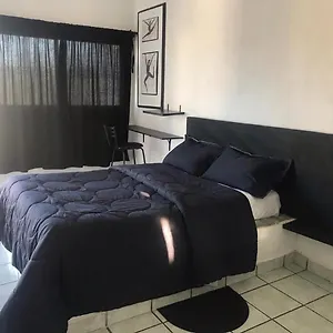 Cozy Black And White Studio Cabo San Lucas